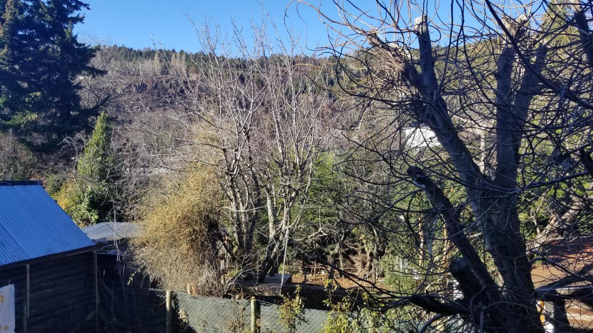 Villegas Centrico - Andarlibre San Martín de los Andes Eksteriør bilde